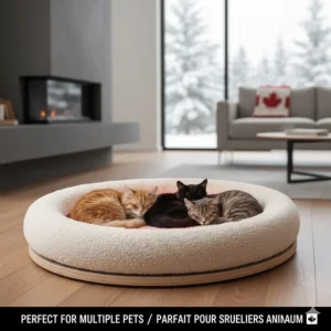 Illustration of a large heated cat bed accommodating two cats, perfect for keeping multiple pets warm.