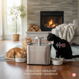 Illustration of cats sleeping peacefully next to a silent-running large cat water fountain, emphasizing low-decibel operation.