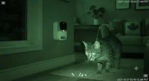 Infrared night vision view from a treat camera for training cats showing an active cat exploring a living room after dark.