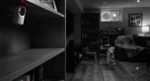 A wide-angle night vision pet camera for basements capturing a large dark room and a cat playing near a window.